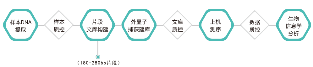 全外显子测序-技术路线-k8凯发基因