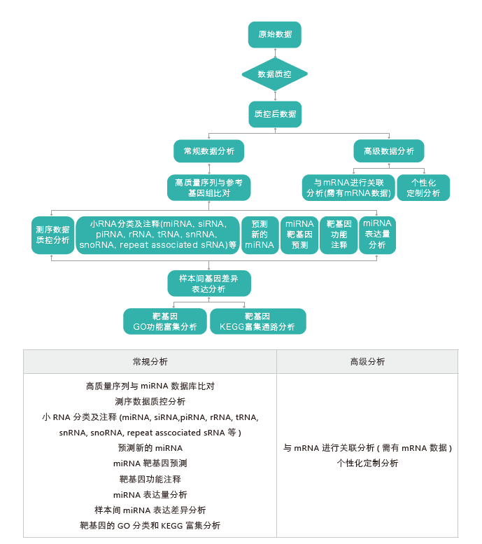 小RNA（small RNA）测序-生信分析流程-k8凯发基因