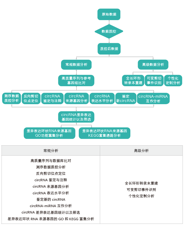 环状RNA（circRNA）测序-生信分析流程-k8凯发基因