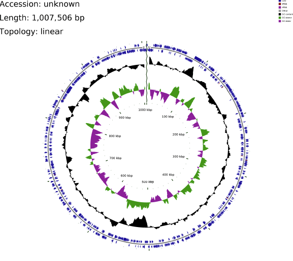 菌种（单菌）鉴定-给予结果-基因组环状注释图