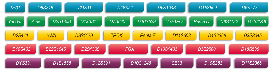 k8凯发基因36A试剂盒位点