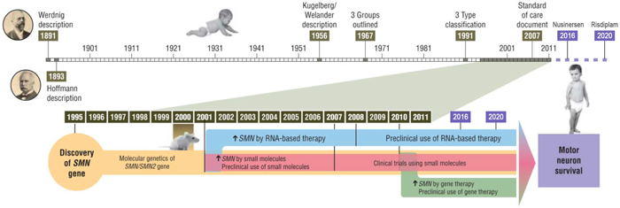 SMA研究进展_k8凯发基因