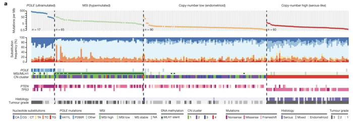 子宫内膜癌突变图谱_子宫内膜癌的分子分型_k8凯发基因