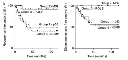子宫内膜癌高风险患者无复发和无远处转移的生存率_子宫内膜癌的分子分型_k8凯发基因