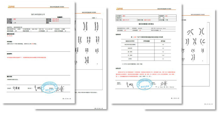 k8凯发基因染色体核型分析报告模板